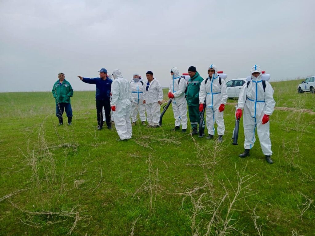 489702329_992697089715859_5918440882534564195_n