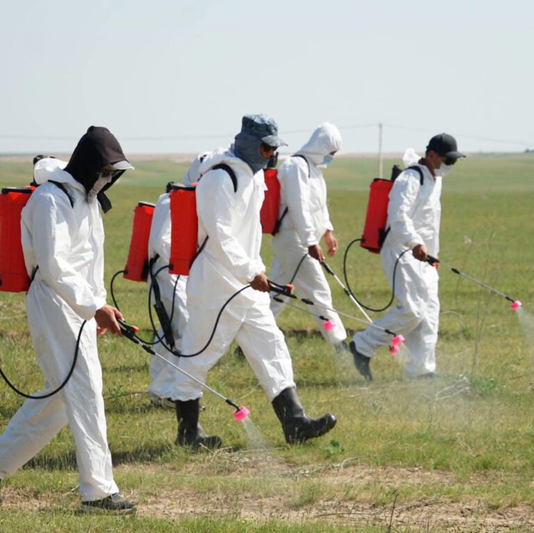 489953211_992660913052810_5192877399777541967_n