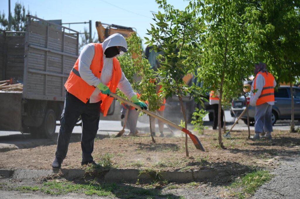 көгалдандыру (2)