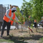 көгалдандыру (2)