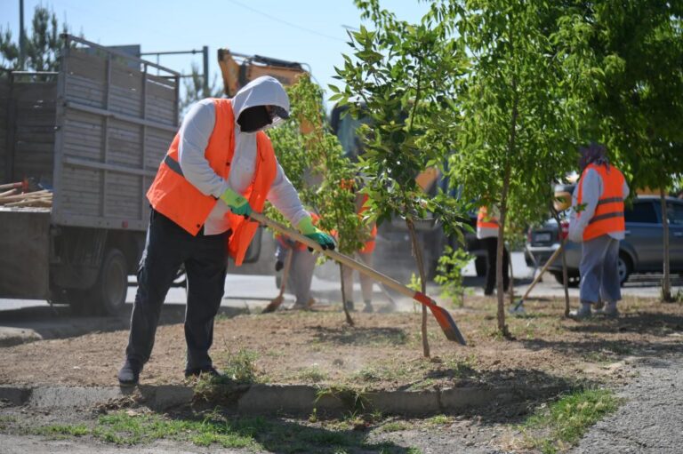 көгалдандыру (2)