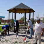 сенбілік (1)