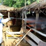 503479751_1894127531335521_490562319214378592_n