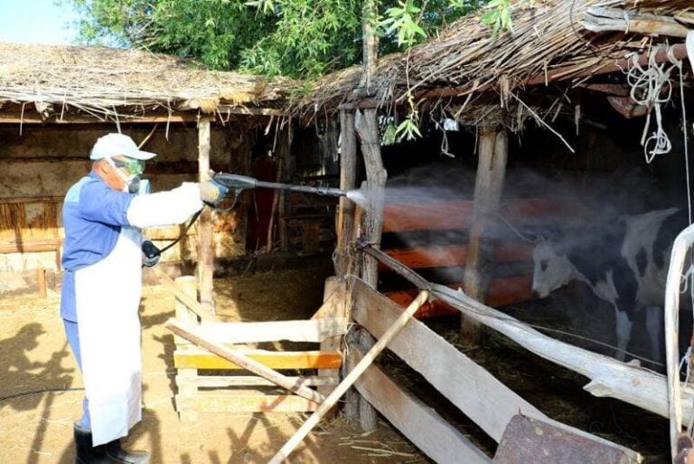 503479751_1894127531335521_490562319214378592_n