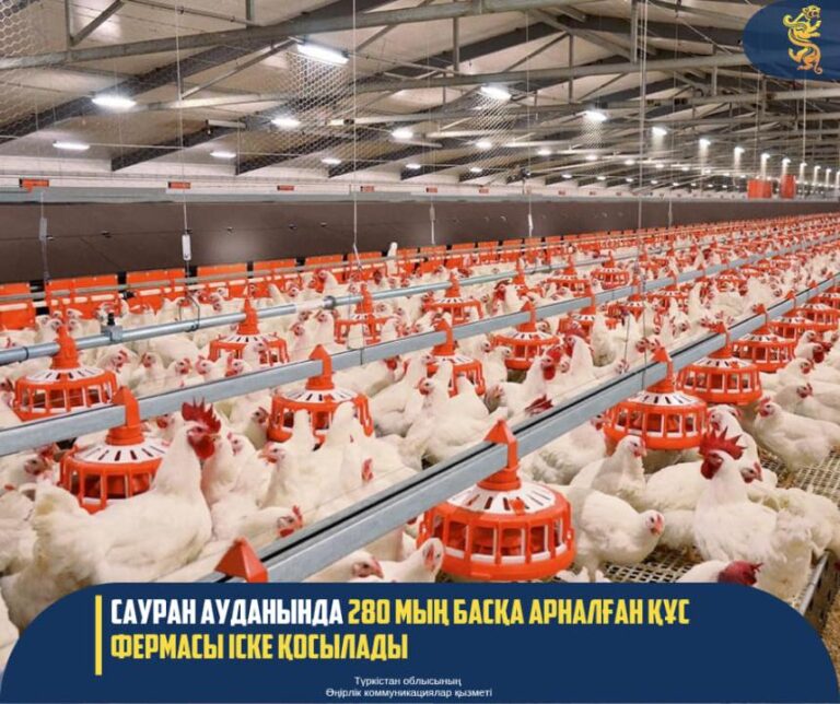 Сауран құс (2)