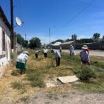 сенбілік (2)