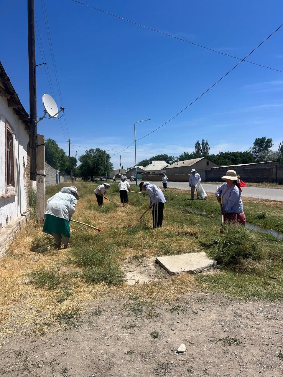 сенбілік (2)