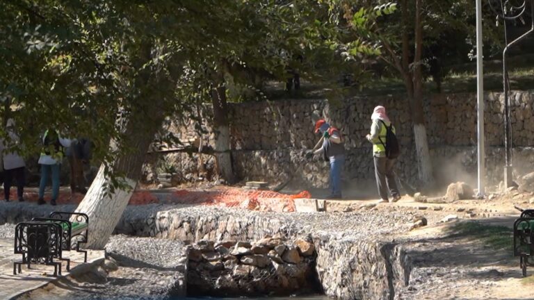 514873f6-2ea5-4ef0-9315-1446f5f259bc