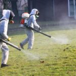 518252740_1063183499333884_93844551040822275_n