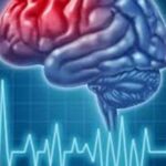 EB22DE32-5131-4177-B948-DE464E8218F8