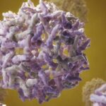 _gluster_2022_5_17_9a650f6608d89e043ef8cca41da04b63_original.36665