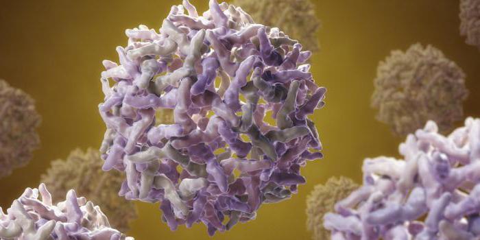 _gluster_2022_5_17_9a650f6608d89e043ef8cca41da04b63_original.36665