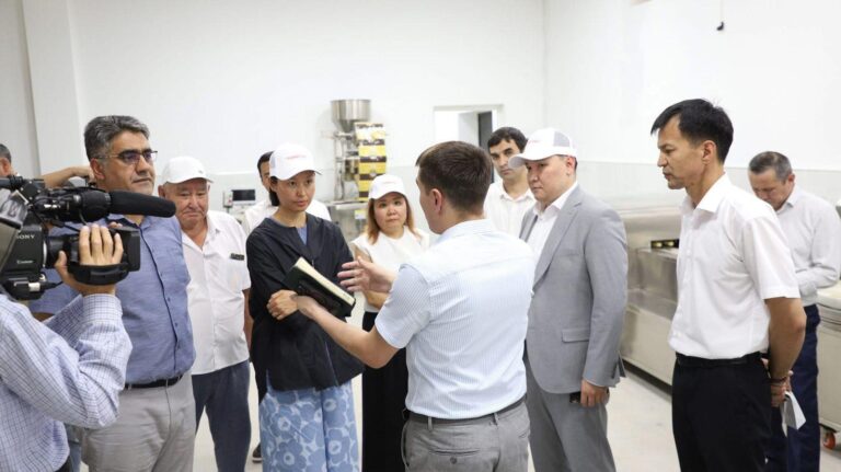 WhatsApp Image 2025-07-23 at 15.38.04