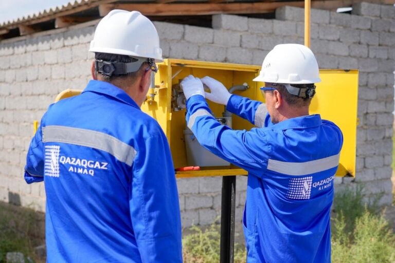 WhatsApp Image 2025-08-12 at 11.28.11