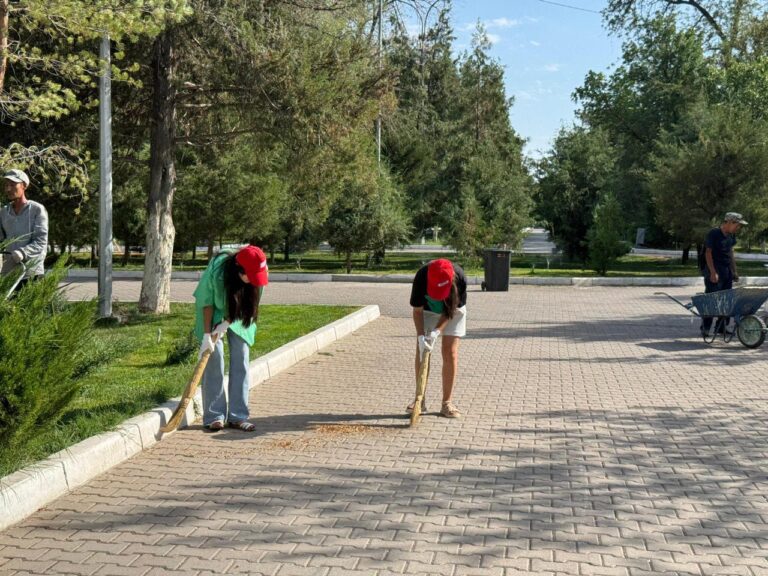 WhatsApp Image 2025-08-12 at 11.28.14