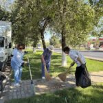 WhatsApp Image 2025-08-12 at 11.28.25