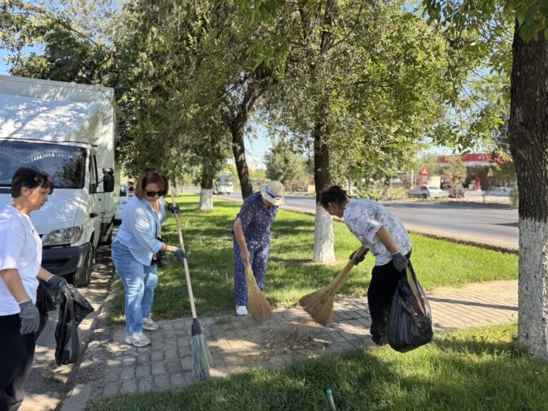 WhatsApp Image 2025-08-12 at 11.28.25