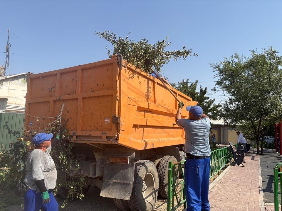 WhatsApp Image 2025-08-18 at 20.48.07 (1)