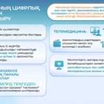 WhatsApp Image 2025-09-05 at 14.52.49 (1)