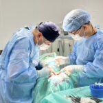 547367487_1988211731979396_6615490119849322217_n