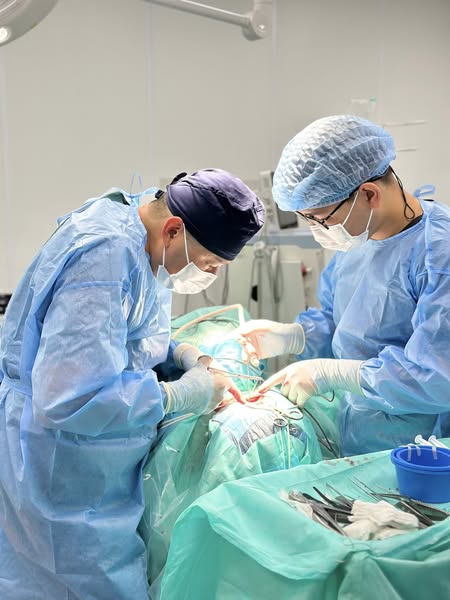 547367487_1988211731979396_6615490119849322217_n