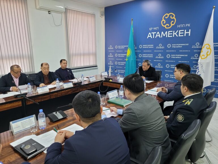 Совет защита 28.11 (2)