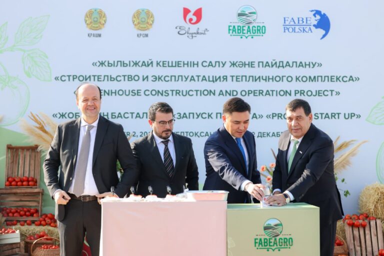 WhatsApp Image 2025-12-02 at 19.38.21