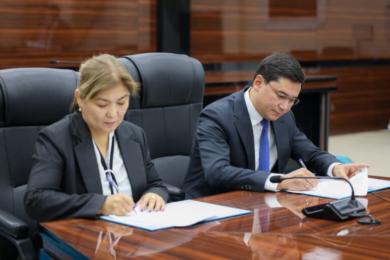 WhatsApp Image 2025-12-03 at 11.14.25