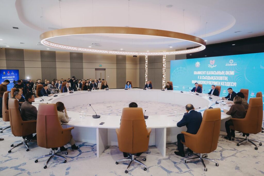 Әкіммен кездесу-2025 (5)